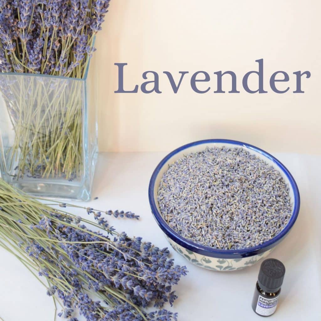 dried lavender