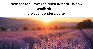 the lavender store